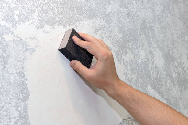 Best Mold Documentation for Insurance Claims  in Harrisburg, OR
