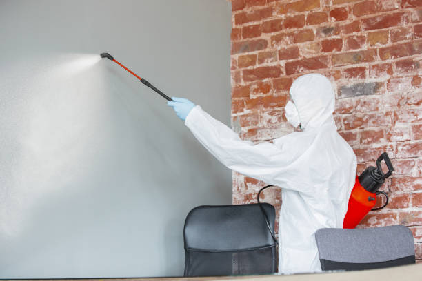 Best Commercial Mold Inspection  in Harrisburg, OR