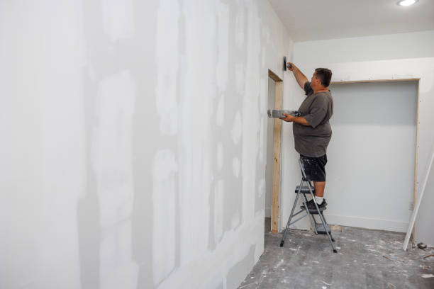 Best Real Estate Mold Inspection  in Harrisburg, OR