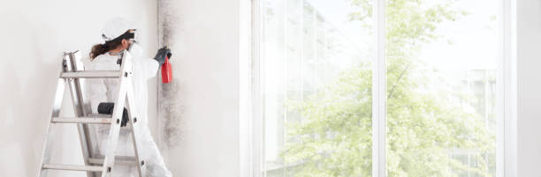 Best Dehumidification Services  in Harrisburg, OR