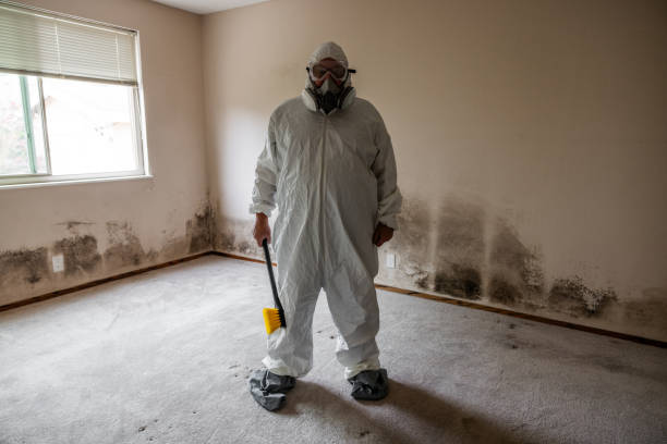 Best Biohazard Mold Removal  in Harrisburg, OR