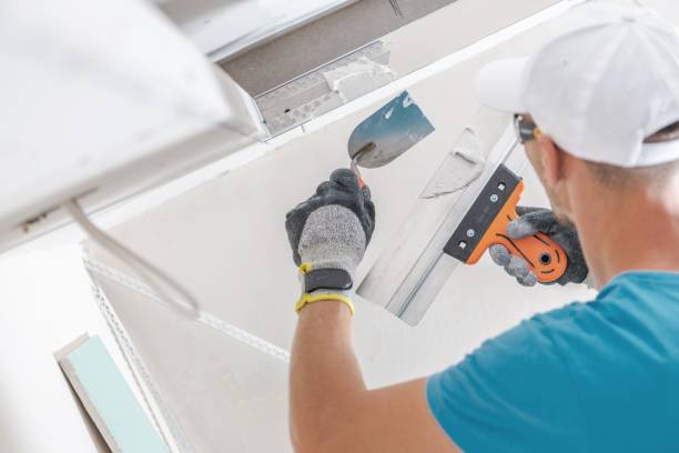Best Mold Prevention Services  in Harrisburg, OR